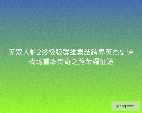 无双大蛇2终极版群雄集结跨界英杰史诗战场重燃传奇之路荣耀征途